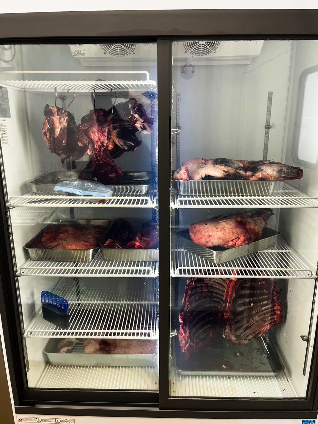 ジビエ専門食肉処理業の様子