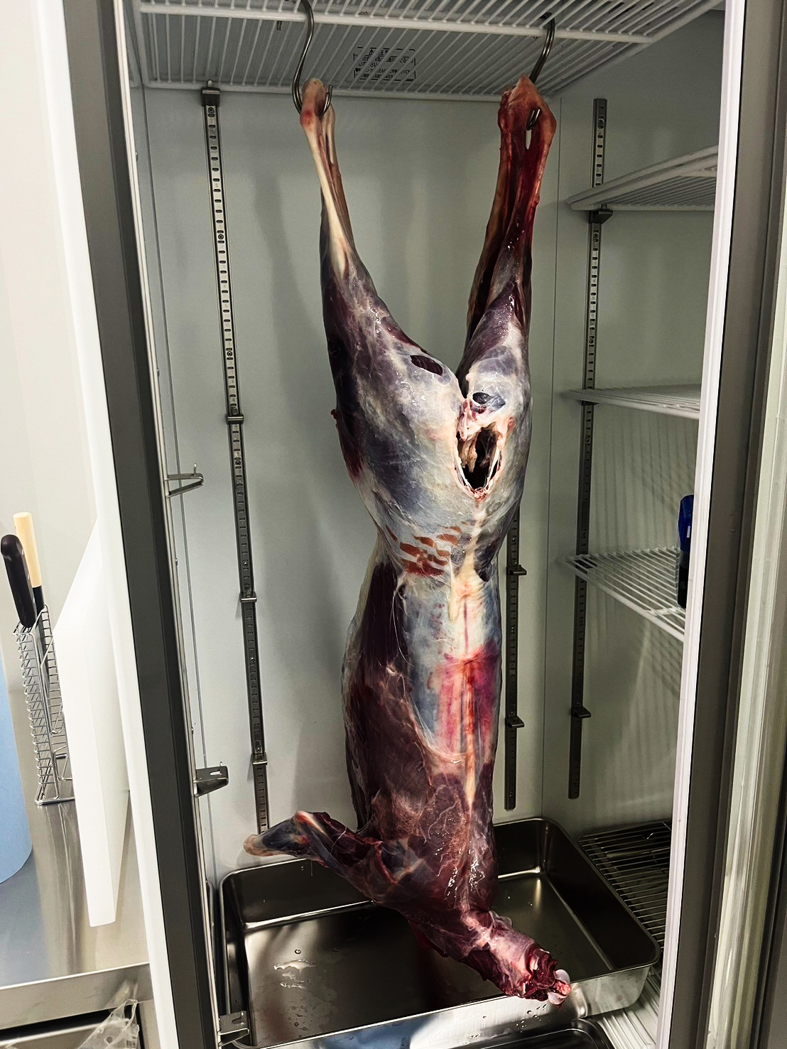 ジビエ専門食肉処理業の様子