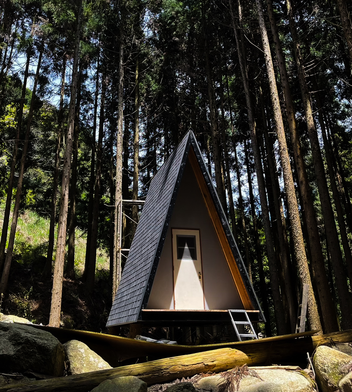 ジビエ専門食肉処理業の様子