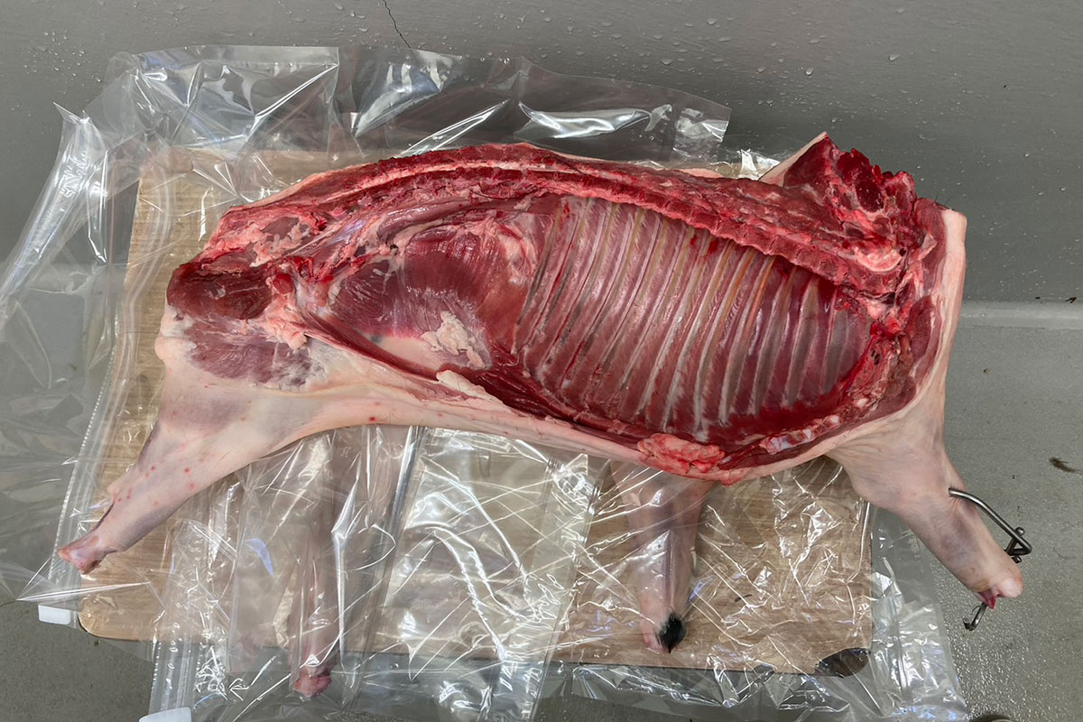 福岡県宗像市で捕れた山田商店のジビエ 生肉