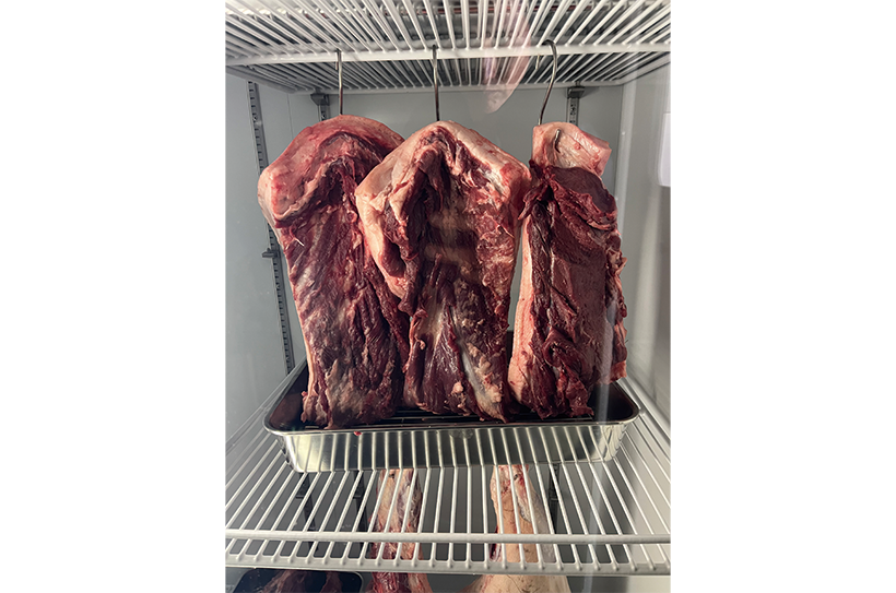 福岡県宗像市で捕れた山田商店のジビエ 生肉