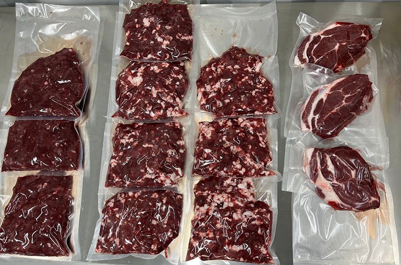 福岡県宗像市で捕れた山田商店のジビエ 生肉