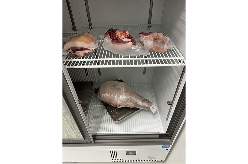 福岡県宗像市で捕れた山田商店のジビエ 生肉